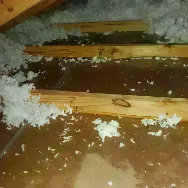 Attic Water Damage in Ware Shoals, SC